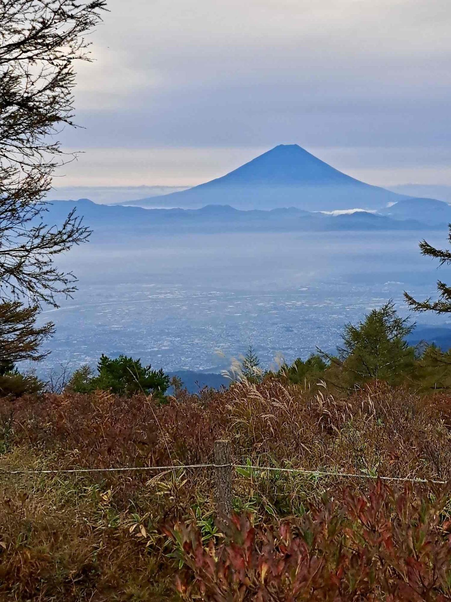 241026甘利山紅葉