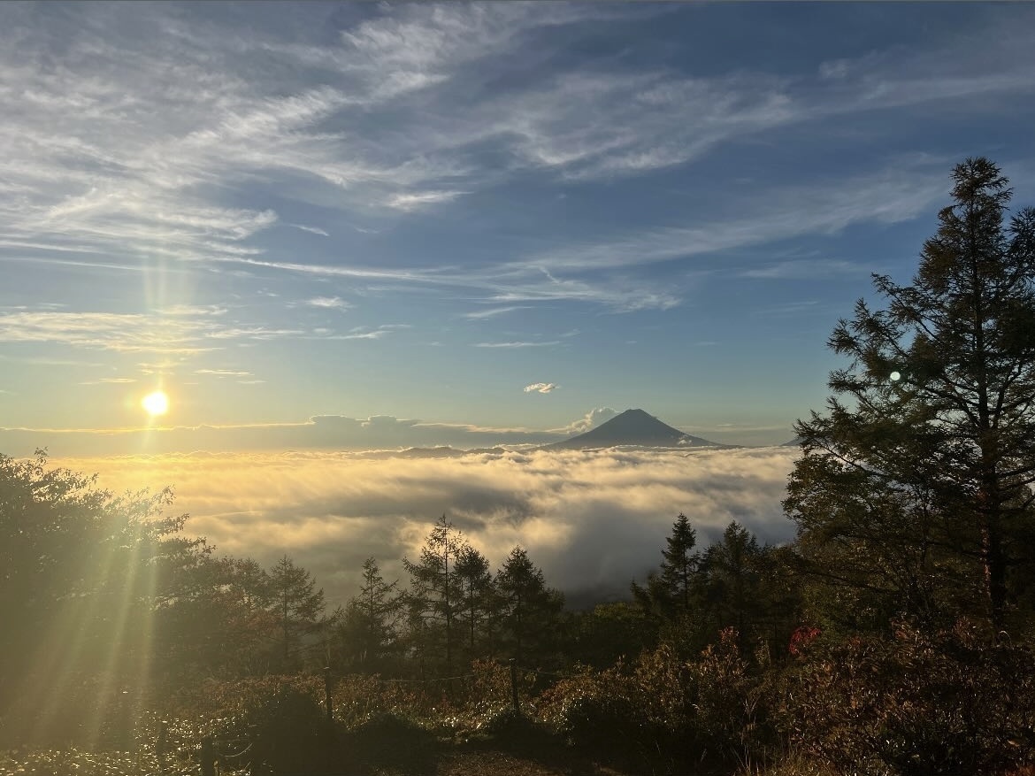 241019甘利山紅葉