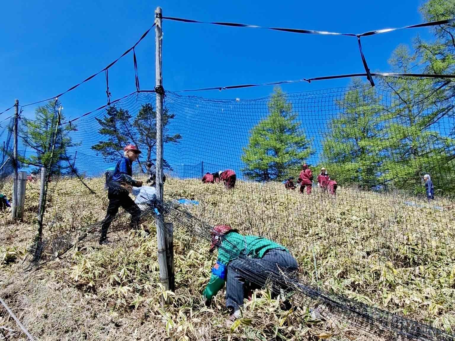 甘利山クリーン大作戦