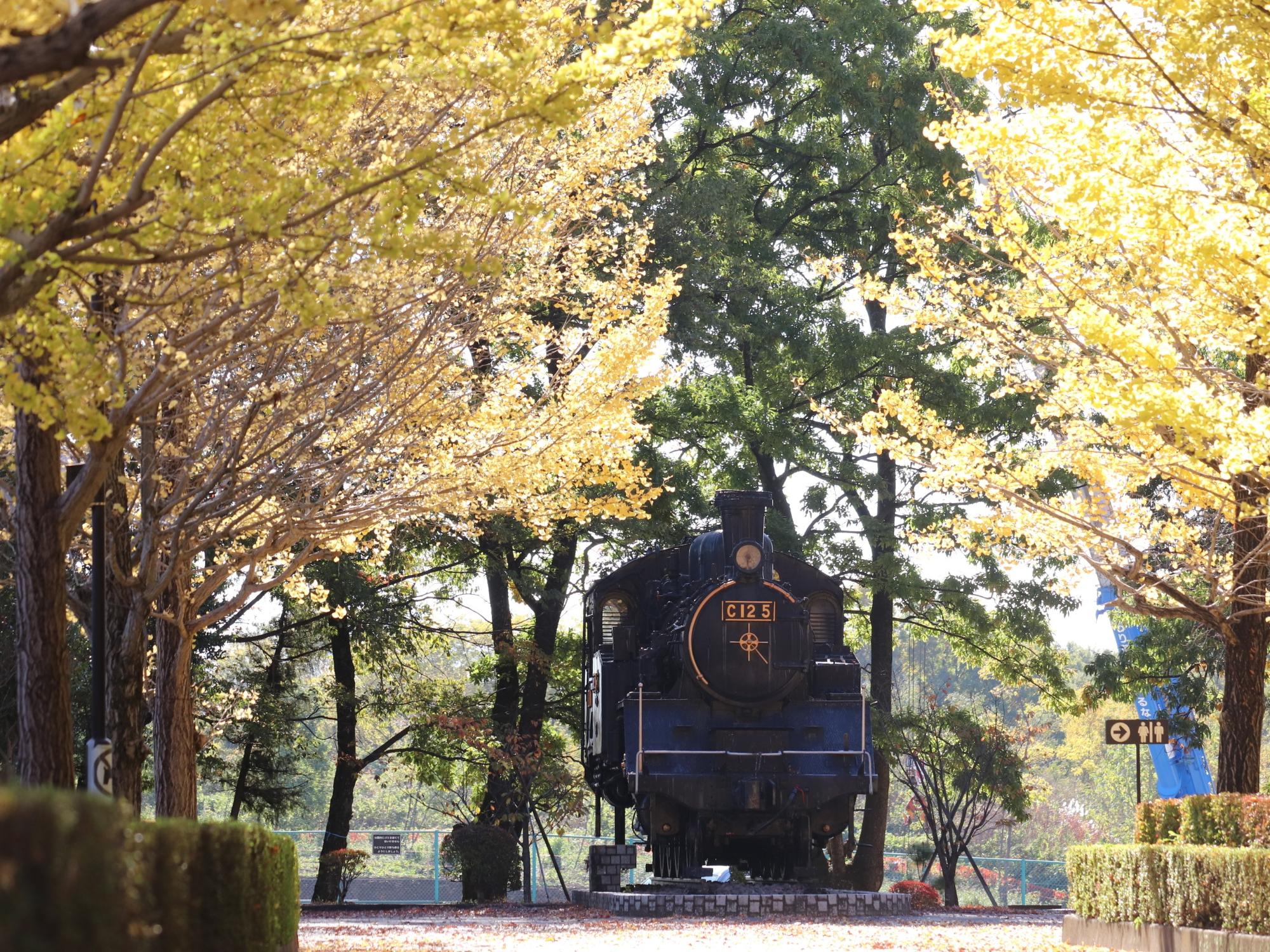 韮崎中央公園