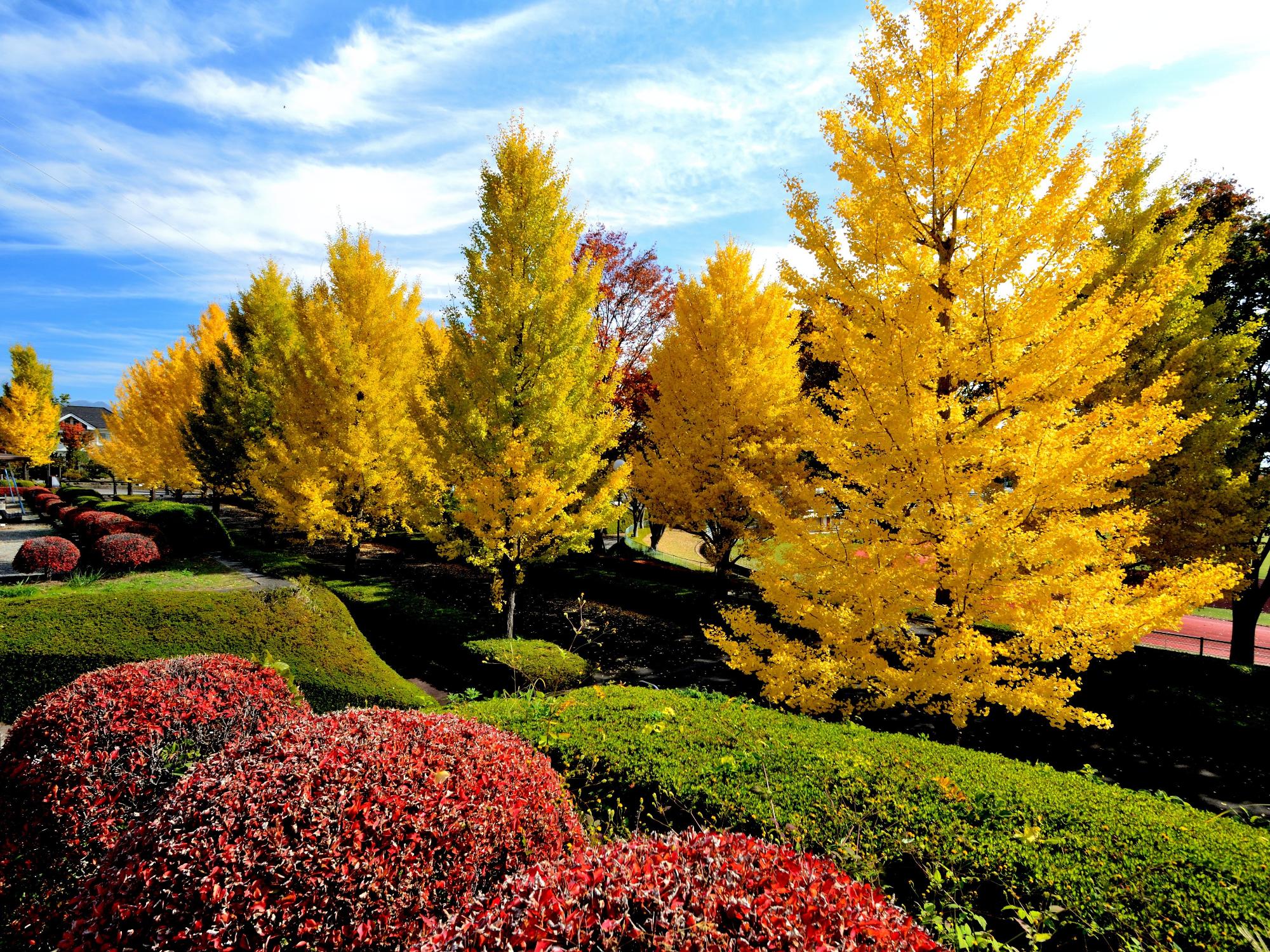 韮崎中央公園