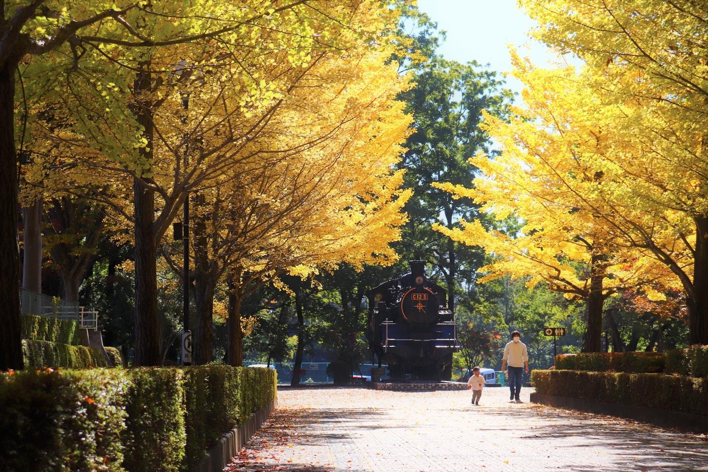 韮崎中央公園