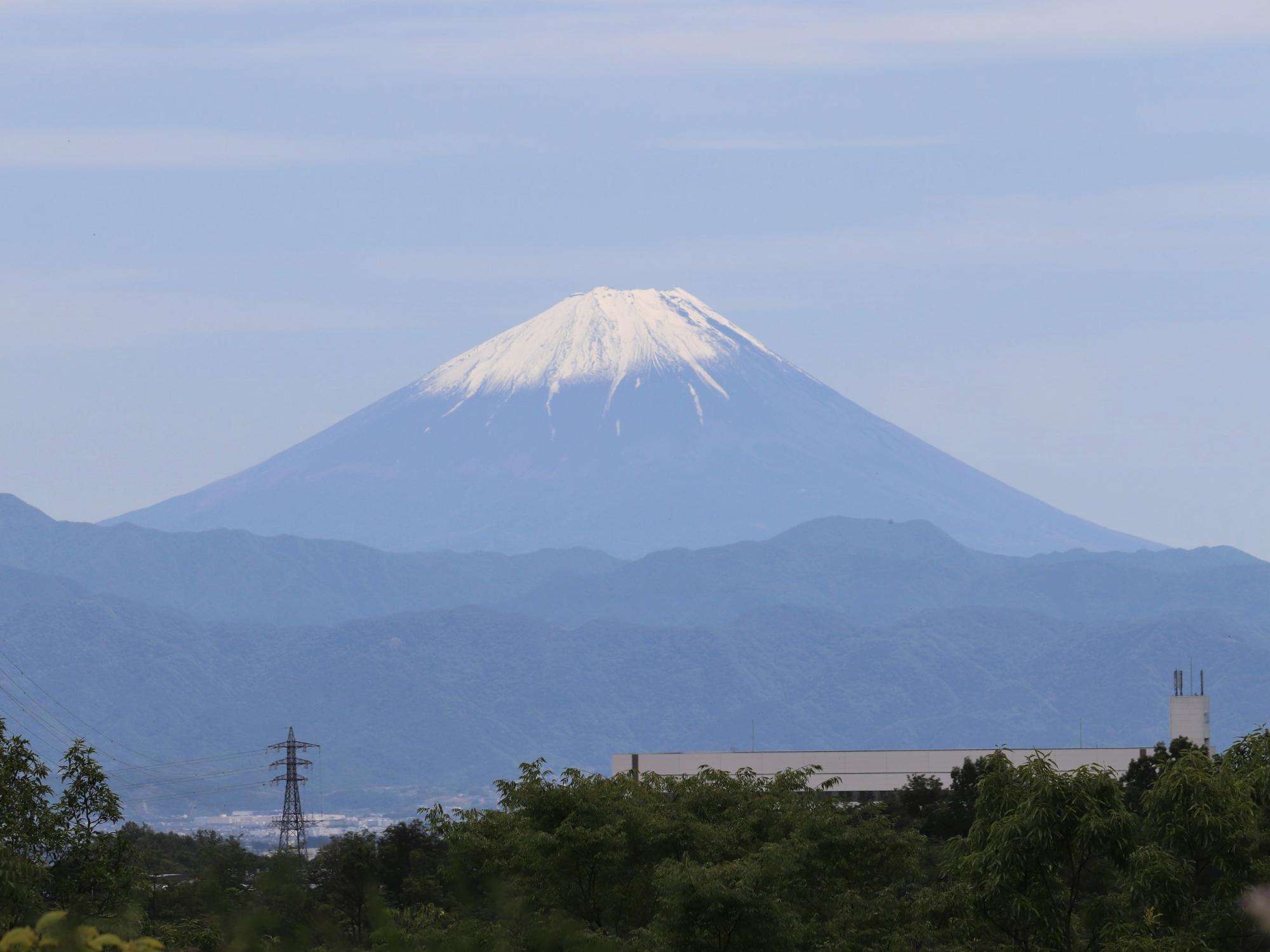 新府城跡