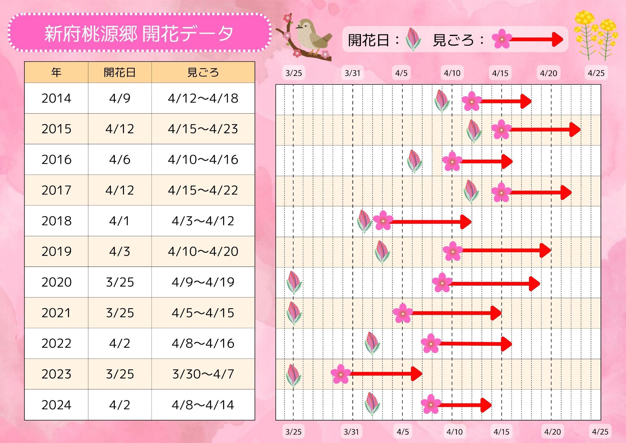 新府桃源郷開花データ