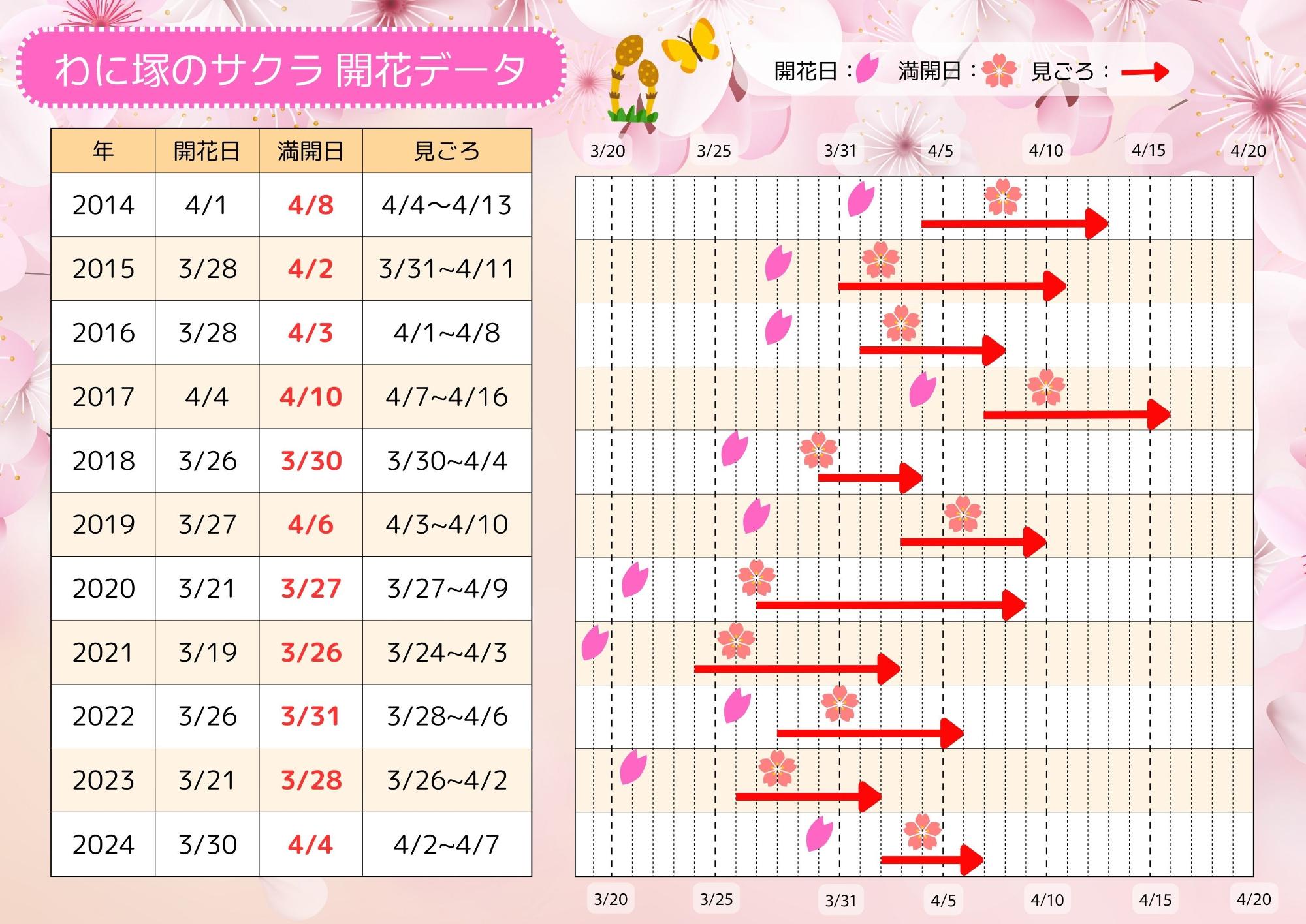 わに塚のサクラ開花データ